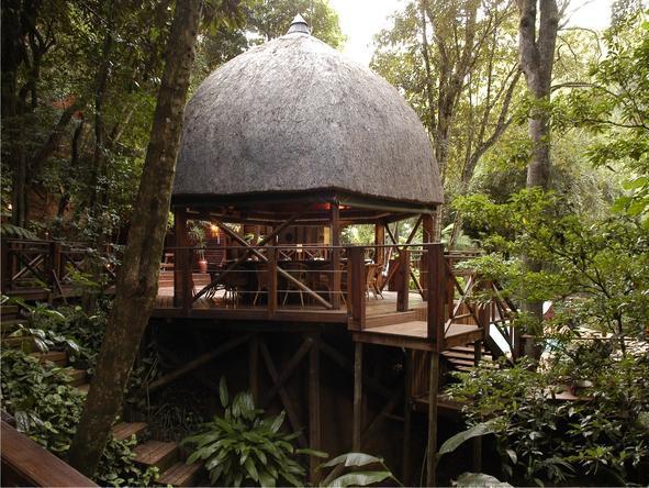 Serenity Forest Eco Reserve - Communal Area 